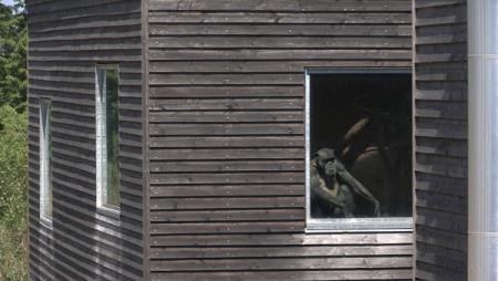 Unter Menschen - Die berührende Geschichte der Affen von Gänserndorf