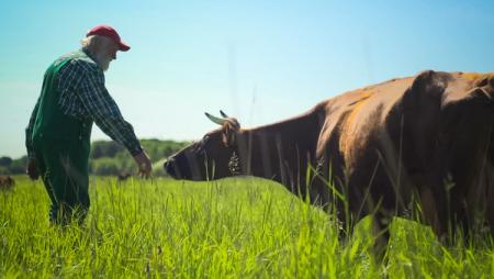 Viel Gutes erwartet uns