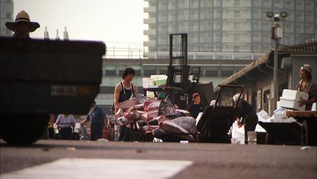 Sushi - The Global Catch