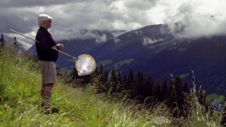 Schmetterlingsjäger