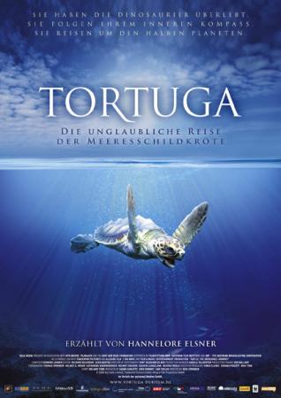 Tortuga - Die unglaubliche Reise der Meeresschildkröte Tortuga - Die unglaubliche Reise der Meeresschildkröte