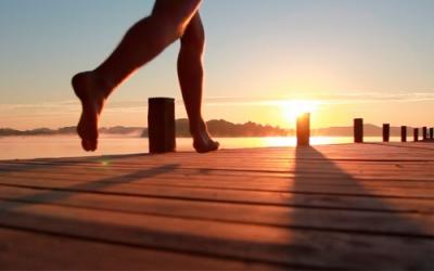 Fünf Seen Film-Festival 2012