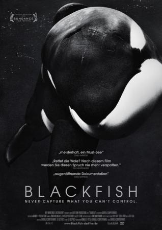 Blackfish OmfrzU