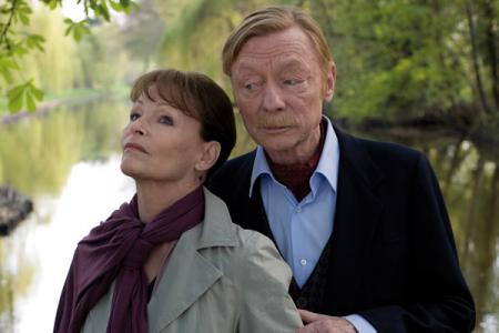 Bis zum Horizont, dann links!