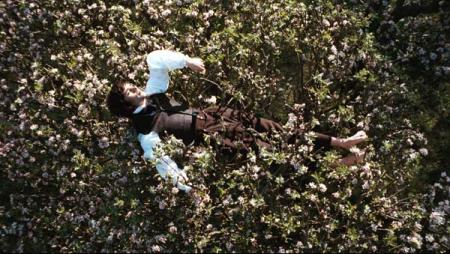 Bright Star - Meine Liebe. Ewig