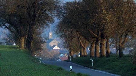 Hoffenheim - Das Leben ist kein Heimspiel
