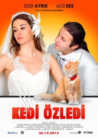 Kedi Özledi OV