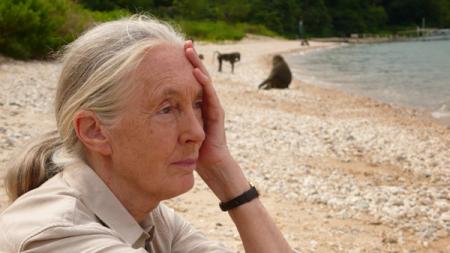Jane's Journey - Die Lebensreise der Jane Goodall