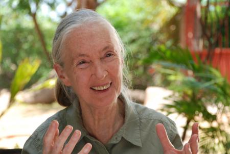 Jane's Journey - Die Lebensreise der Jane Goodall