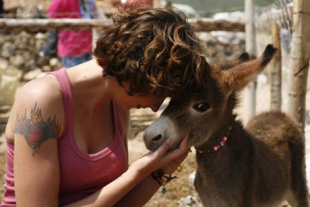 Entelköy gegen Efeköy
