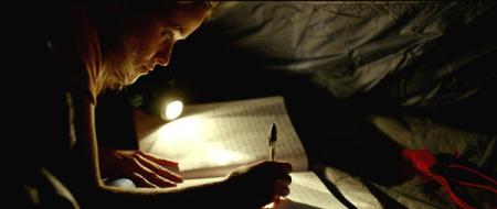 Der große Trip - Wild