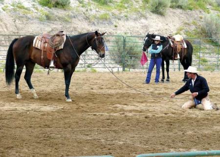 Buck - Der wahre Pferdeflüsterer