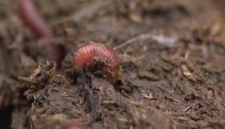 Viel Gutes erwartet uns