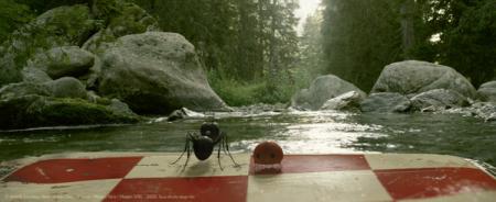 Minuscule - Kleine Helden