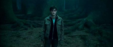 Harry Potter und die Heiligtümer des Todes (Teil1)