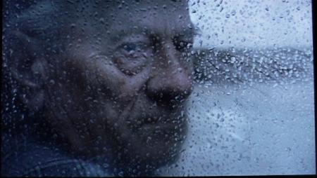 Das Summen der Insekten