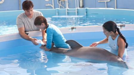 Mein Freund der Delfin