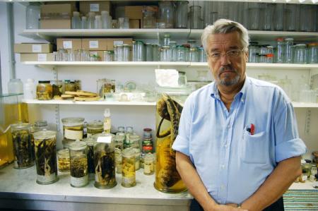 Vom Ordnen der Dinge