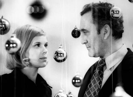 Die Taube auf dem Dach